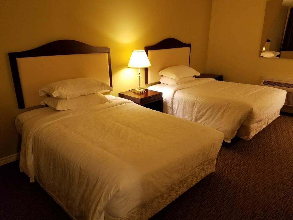 7 West Motel Carleton Place Rom bilde